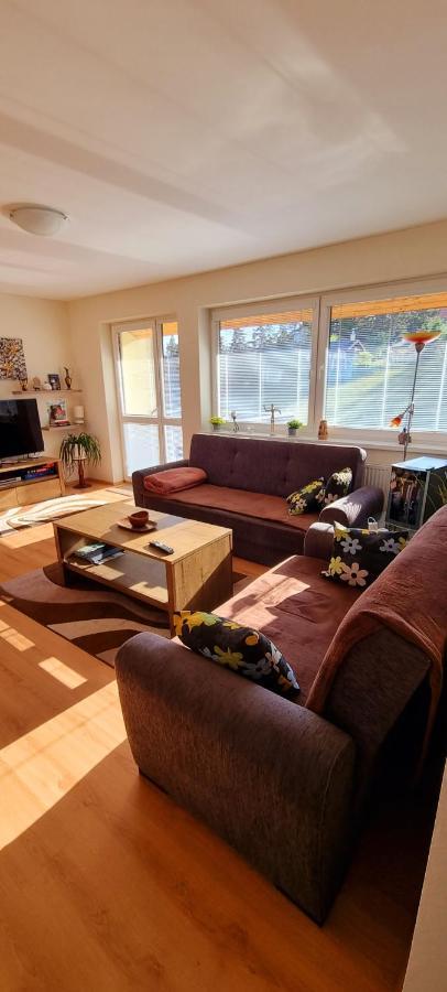 Mountain Village Apartment Pinewood *** Вышне-Ружбахи Экстерьер фото